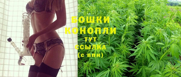 мяу мяу мука Пролетарск