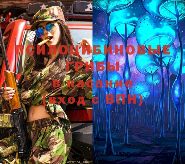 МДПВ Бронницы