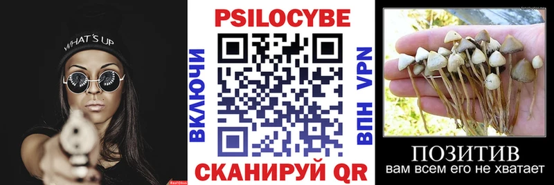 Галлюциногенные грибы мухоморы  где купить   Таганрог 